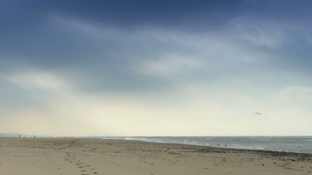 Vista al mar en invierno — Vídeos de Stock