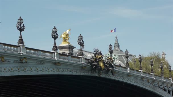 Grand Palais and pont of Alexandre III — Stock Video