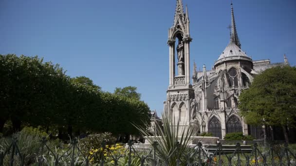 Notre Dame y parque durante la primavera — Vídeo de stock