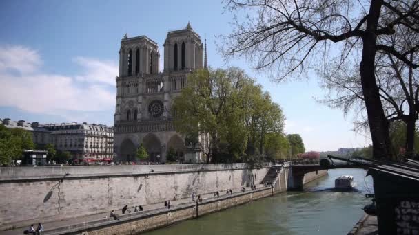 Notre Dame en Ile de la Cite — Vídeo de stock