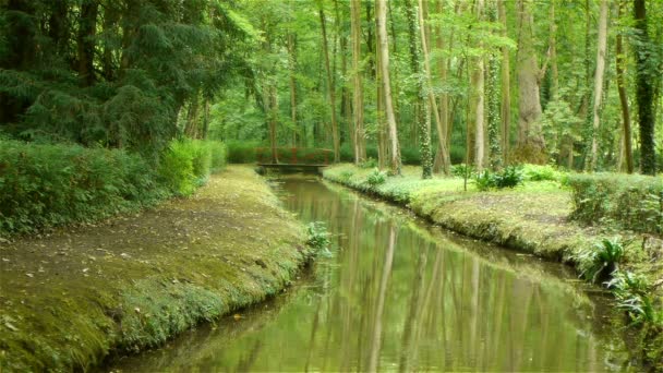 Małe rzeki w Canon Castle garden — Wideo stockowe