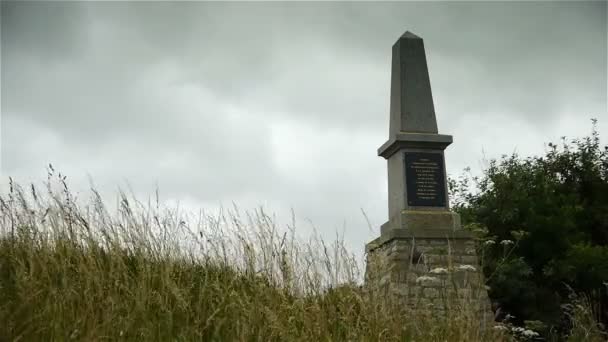Памятник Д. Д. Бич — стоковое видео