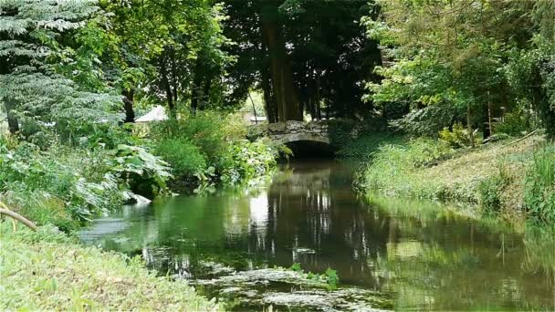 Маленькая река в саду Канонского замка — стоковое видео