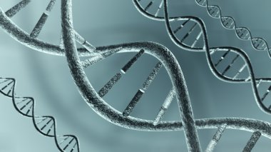 DNA dizilerini, genetik kod zincirleri