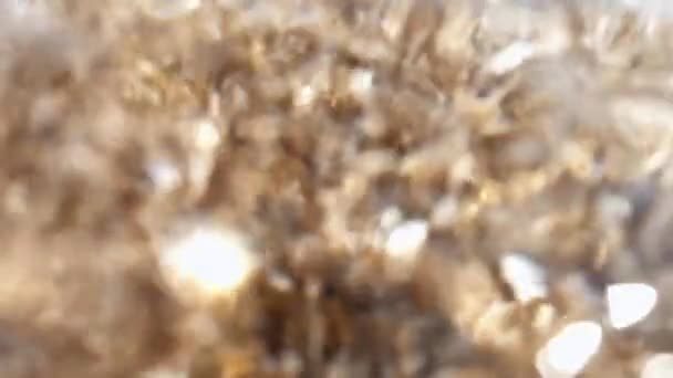 Imagens de câmera lenta de conchas se movendo no mar — Vídeo de Stock