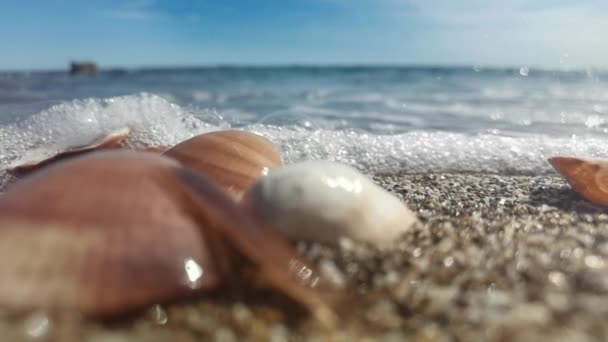 Långsam rörelse bilder av havet stänk på snäckor och småsten — Stockvideo