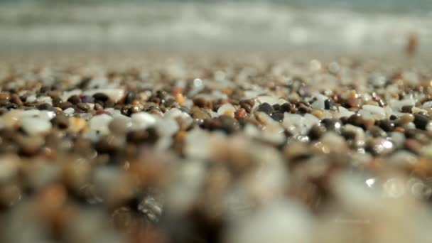 Macro filmato di ciottoli bagnati sulla riva del mare — Video Stock