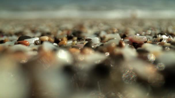 Imágenes macro de guijarros húmedos en la orilla del mar — Vídeo de stock