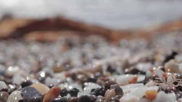 Makroaufnahmen von nassen Kieselsteinen an der Küste — Stockvideo