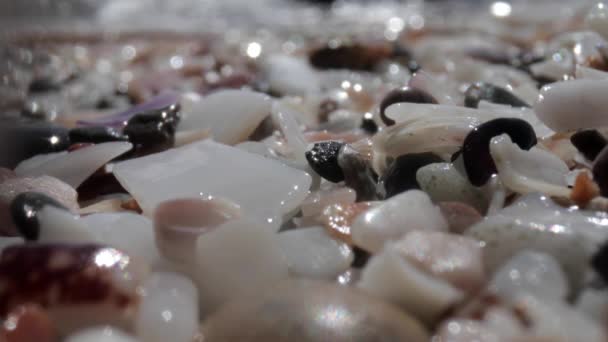 Makro záběry mokrých oblázků na mořském pobřeží — Stock video