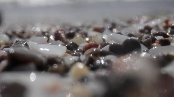 Makrobilder av våta stenar på havets strand — Stockvideo