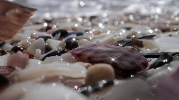Makroaufnahmen von nassen Kieselsteinen an der Küste — Stockvideo