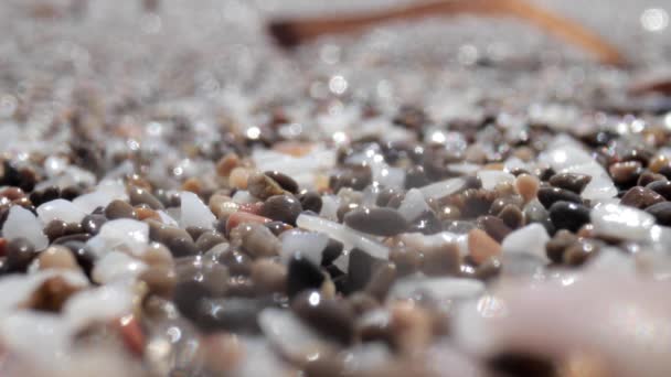 Makromateriał filmowy z mokrych kamieni na brzegu morza — Wideo stockowe
