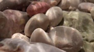 Deniz kıyısındaki ıslak çakıl taşlarının makro görüntüleri