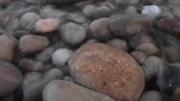 Μακρο πλάνα από βρεγμένα βότσαλα στην ακτή της θάλασσας — Αρχείο Βίντεο