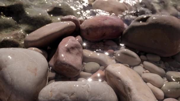 Makró felvételek nedves kavicsokról a tengerparton — Stock videók