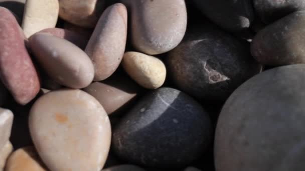 Макропанорамне зображення мокрих каменів на морському березі — стокове відео