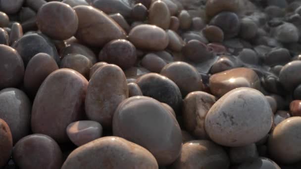 Imagens macro de seixos molhados na costa do mar — Vídeo de Stock