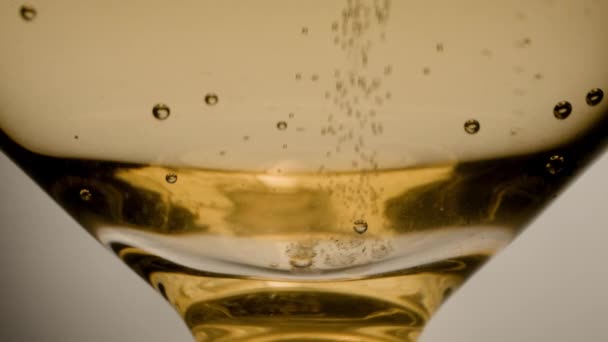 Flauto Champagne con bollicine — Video Stock