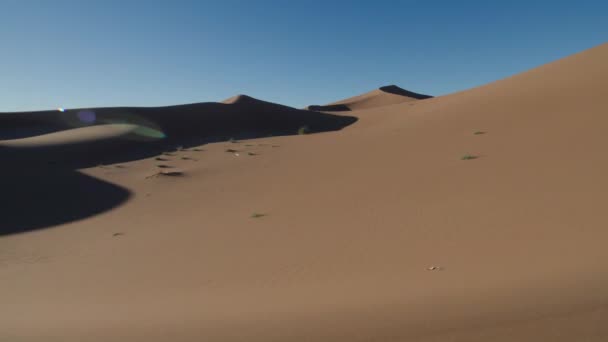 Temps écoulé entre les ombres sur les dunes de sable dans le désert du Sahara — Video
