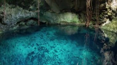 Cenote, kireçtaşı mağarası ve berrak su.