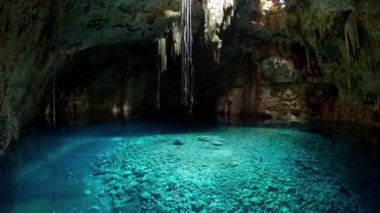 Cenote, kireçtaşı mağarası ve berrak su.