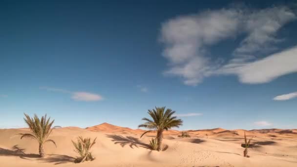 Sahra Çölü 'ndeki kum tepelerindeki gölgelerin zaman atlaması — Stok video