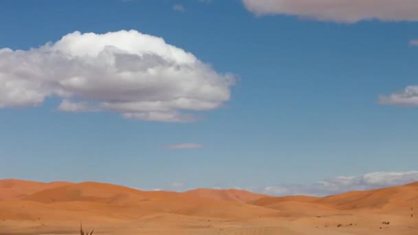 사하라 사막의 모래 언덕에서 시간이 지남에 따라 그림자가 걷히다 — 비디오