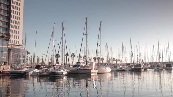 Barche ormeggiate nel porto di badalona, Spagna — Video Stock