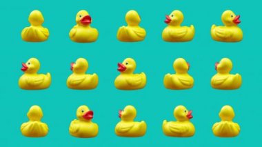 Oyuncak lastik ördekler dönüyor