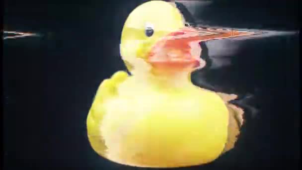 Un canard en caoutchouc jouet tournant autour — Video