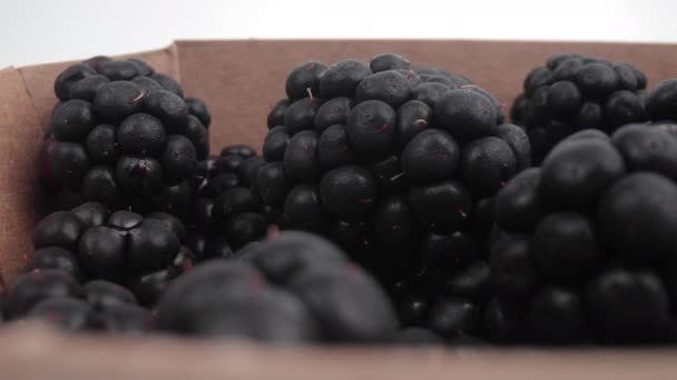 Fresh blackberries close up — Stock Video