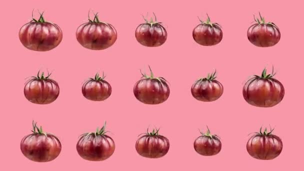 Rode tomaten geanimeerd tegen een bleekgroene achtergrond — Stockvideo