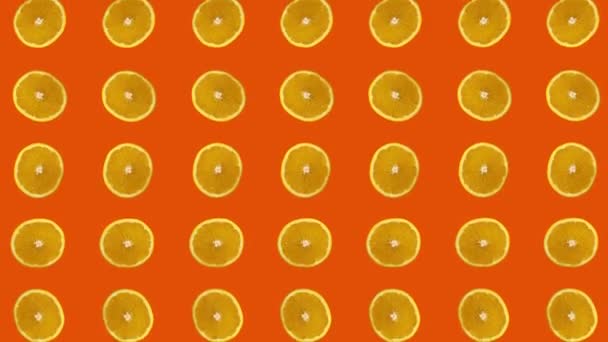 Oranges animated against yellow background — Stock Video