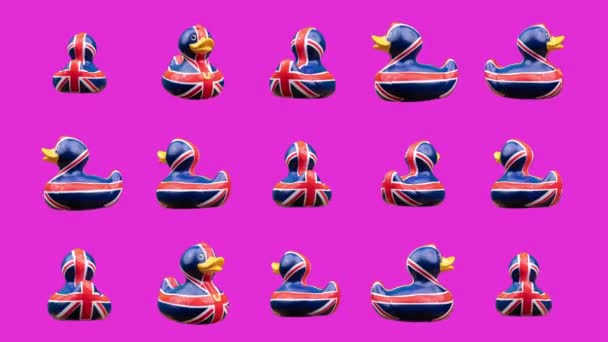Gumové kachny s vlajkami Union Jack — Stock video
