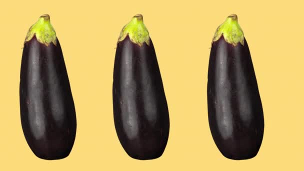 Baris aubergines dianimasikan dengan latar belakang berwarna — Stok Video