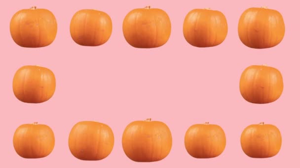 Pumpkins spinning against a pink background — Stock Video