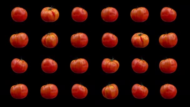 Tomat merah berturut-turut berputar berlawanan dengan latar belakang hitam — Stok Video