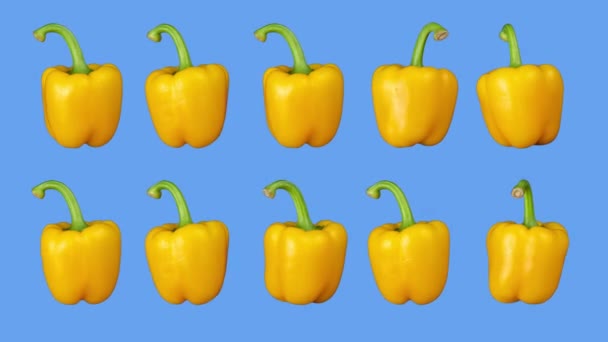 Κίτρινες πιπεριές που περιστρέφονται σε μπλε φόντο — Αρχείο Βίντεο