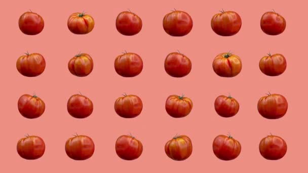 Rode tomaten op een rij bewegend op een roze achtergrond — Stockvideo