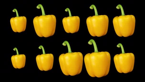 Yellow peppers spinning against a black background — Stock Video