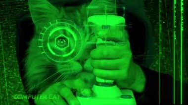 Güzel kedi joystick ile bilgisayar oyunu oynuyor.