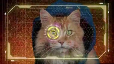 Yüksek çözünürlüklü havalı kedi