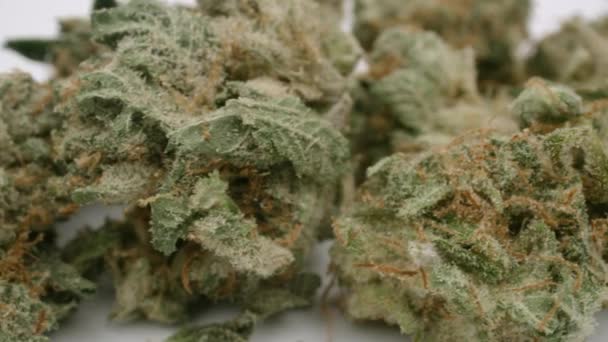 Marihuanové pupeny na bílém pozadí — Stock video