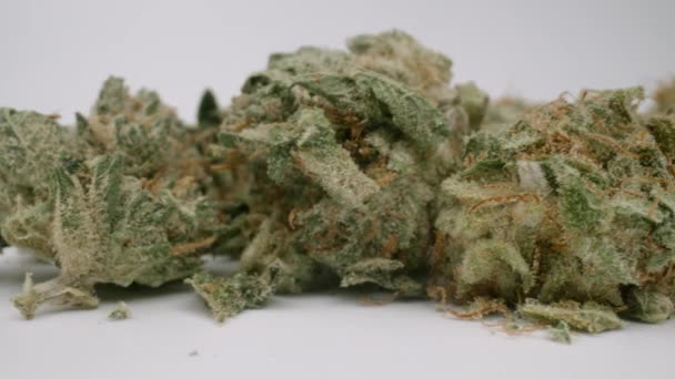 Gemme di marijuana sullo sfondo bianco — Video Stock