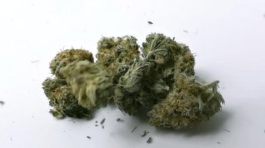 Marihuana tomurcukları yavaş çekimde düşüyor