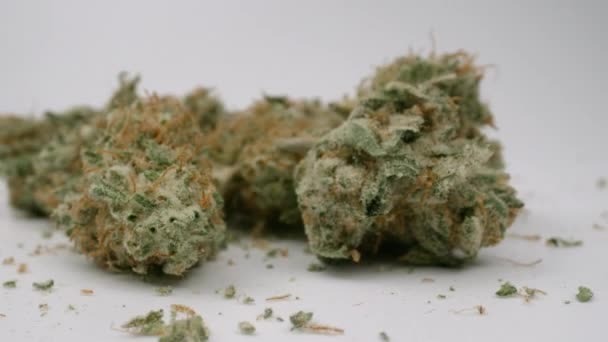 Marihuana knoppen tegen witte achtergrond — Stockvideo