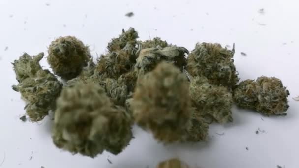 Marihuana knoppen vallen in slow motion — Stockvideo