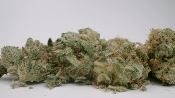 Gemme di marijuana sullo sfondo bianco — Video Stock