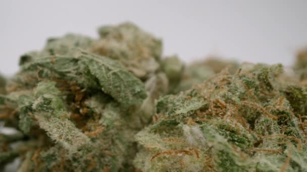 Marihuana knoppen tegen witte achtergrond — Stockvideo